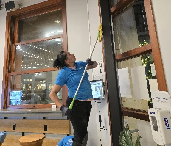 Window Cleaning